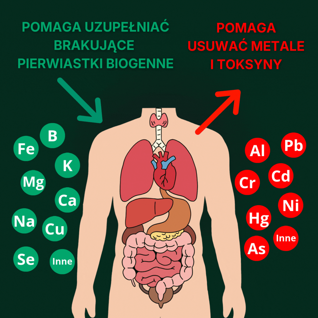 HUMAC® Nativ C+Se+Zn | 60 kaps.